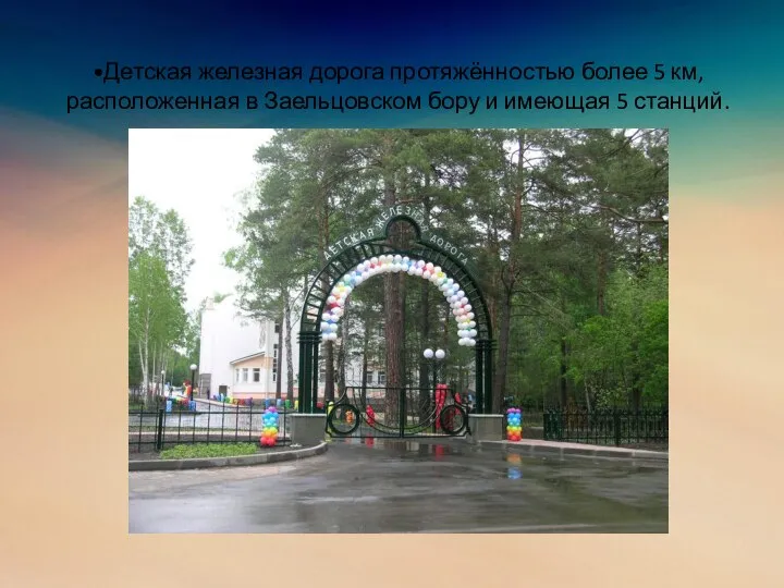 •Детская железная дорога протяжённостью более 5 км, расположенная в Заельцовском бору и имеющая 5 станций.