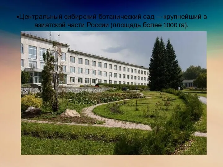 •Центральный сибирский ботанический сад — крупнейший в азиатской части России (площадь более 1000 га).