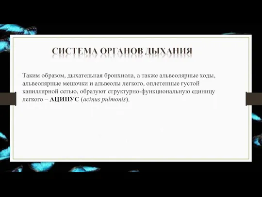 Таким образом, дыхательная бронхиола, а также альвеолярные ходы, альвеолярные мешочки и альвеолы