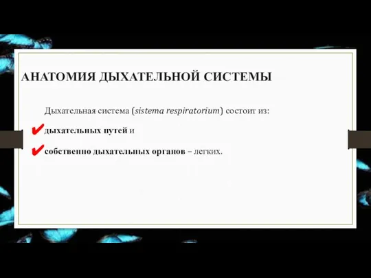 АНАТОМИЯ ДЫХАТЕЛЬНОЙ СИСТЕМЫ Дыхательная система (sistema respiratorium) состоит из: дыхательных путей и