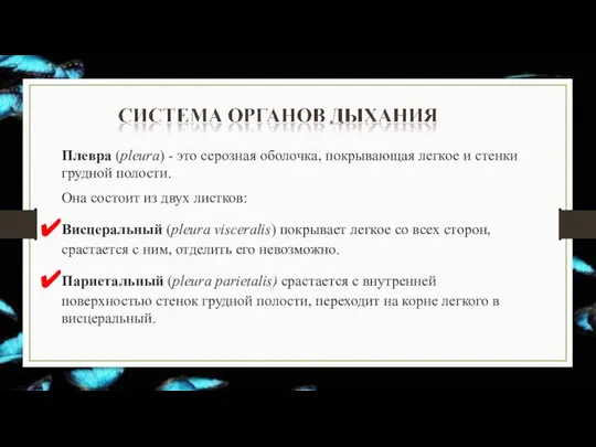 Плевра (pleura) - это серозная оболочка, покрывающая легкое и стенки грудной полости.