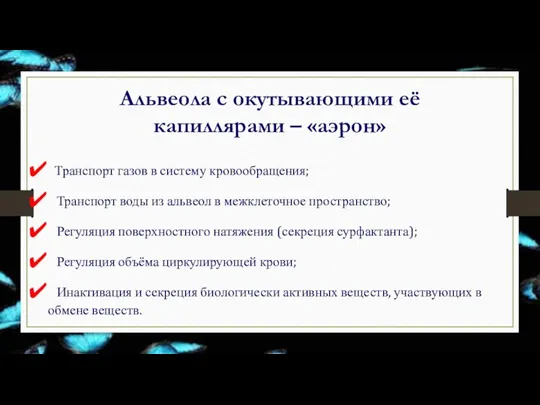 Альвеола с окутывающими её капиллярами – «аэрон» Транспорт газов в систему кровообращения;