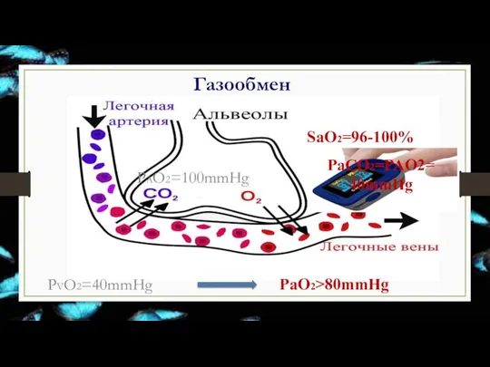 Газообмен PAO2=100mmHg PVO2=40mmHg PaO2>80mmHg SaO2=96-100% PaCO2=PAO2= 40mmHg