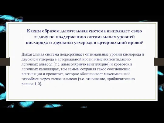 Каким образом дыхательная система выполняет свою задачу по поддержанию оптимальных уровней кислорода