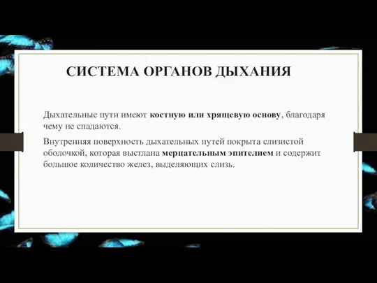 СИСТЕМА ОРГАНОВ ДЫХАНИЯ Дыхательные пути имеют костную или хрящевую основу, благодаря чему