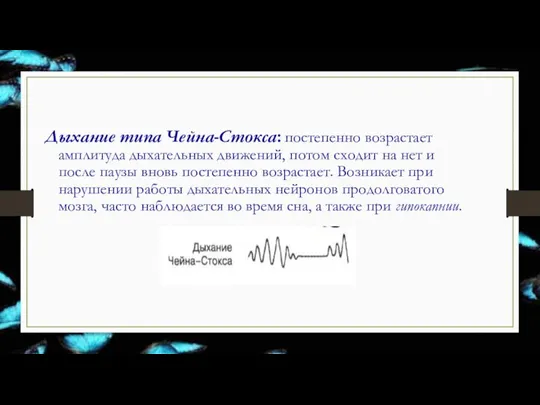 Дыхание типа Чейна-Стокса: постепенно возрастает амплитуда дыхательных движений, потом сходит на нет