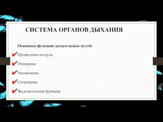 СИСТЕМА ОРГАНОВ ДЫХАНИЯ Основные функции дыхательных путей: Проведение воздуха Очищение Увлажнение Согревание Выделительная функция