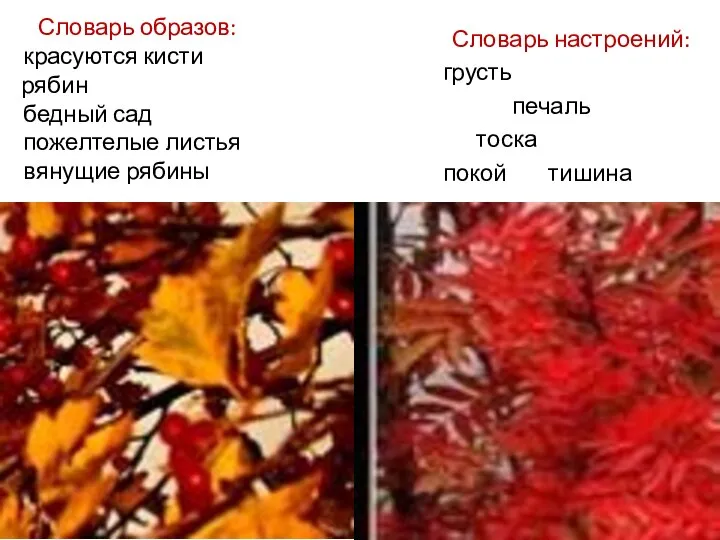 Словарь образов: красуются кисти рябин бедный сад пожелтелые листья вянущие рябины Словарь