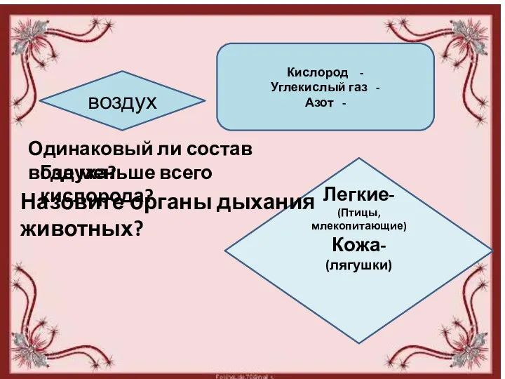 воздух Кислород - Углекислый газ - Азот - Легкие- (Птицы, млекопитающие) Кожа-