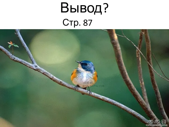 Вывод? Стр. 87