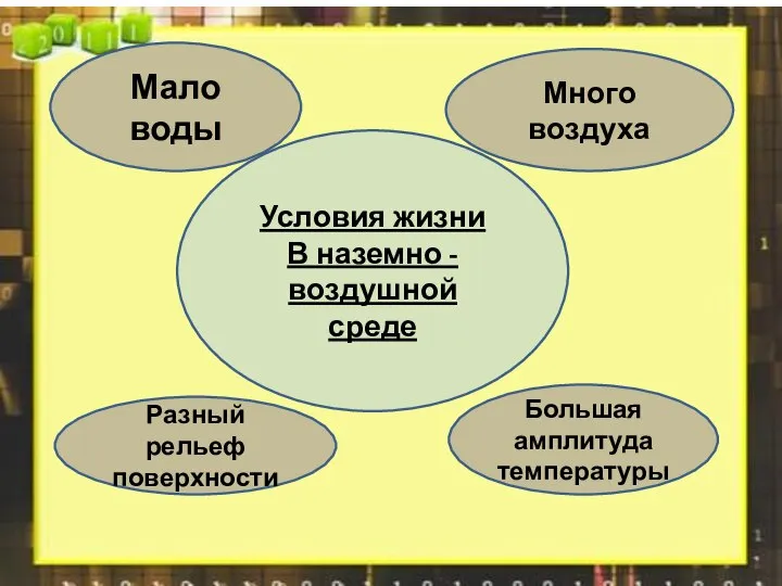 Условия жизни В наземно - воздушной среде Мало воды Много воздуха Разный