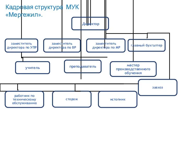 главный бухгалтер мастер производственного обучения истопник работник по техническому обслуживанию Кадровая структура МУК «Мергежил». завхоз