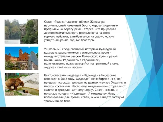 Cкала «Голова Чацкого» вблизи Житомира – нерукотворный каменный бюст с хорошим орлиным