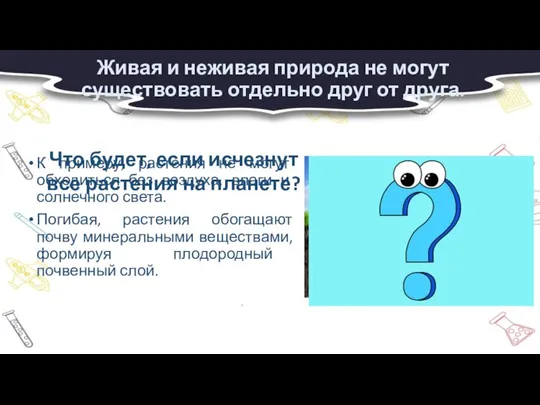 Живая и неживая природа не могут существовать отдельно друг от друга. К