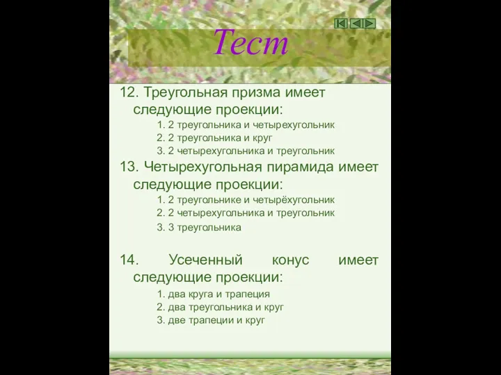 Тест 12. Треугольная призма имеет следующие проекции: 1. 2 треугольника и четырехугольник