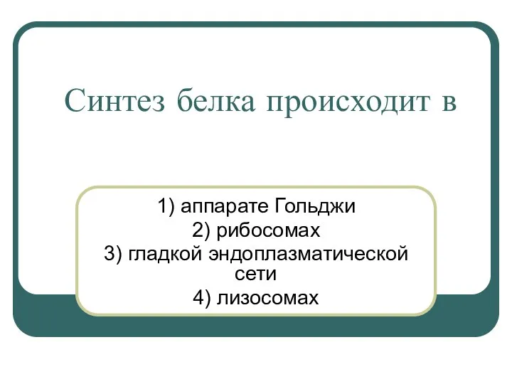 Синтез белка происходит в 1) аппарате Гольджи 2) рибосомах 3) гладкой эндоплазматической сети 4) лизосомах