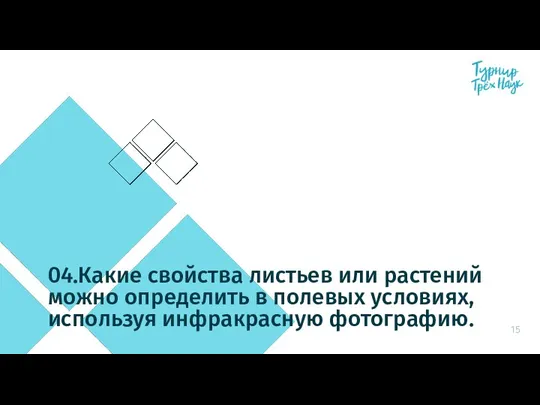 04.Какие свойства листьев или растений можно определить в полевых условиях, используя инфракрасную фотографию.