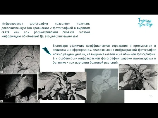 Инфракрасная фотография позволяет получать дополнительную (по сравнению с фотографией в видимом свете