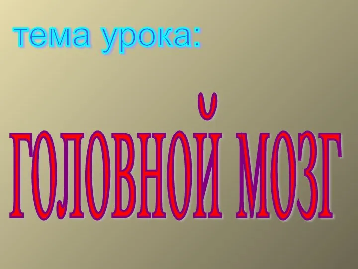 головной мозг тема урока: