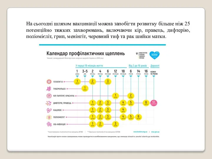 На сьогодні шляхом вакцинації можна запобігти розвитку більше ніж 25 потенційно тяжких