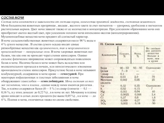 СОСТАВ МОЧИ Состав мочи изменяется в зависимости от состава корма, количества принятой