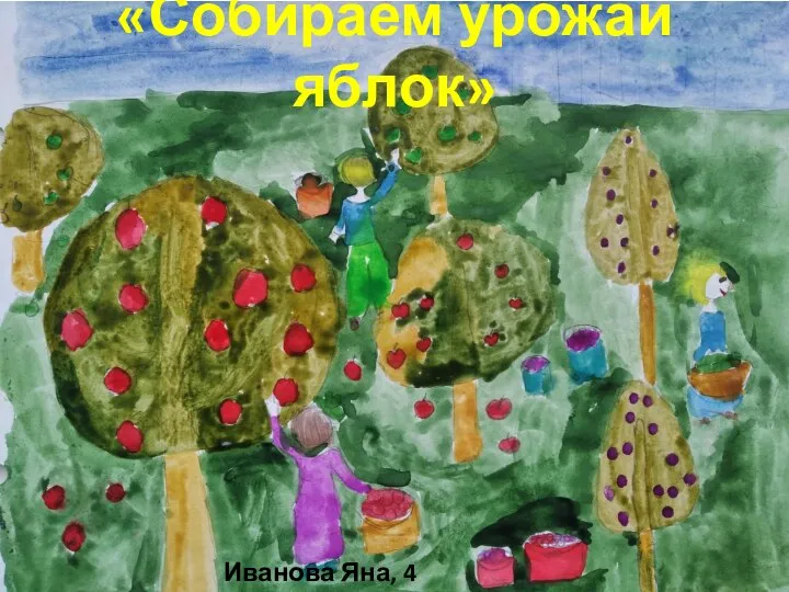 «Собираем урожай яблок» Иванова Яна, 4 класс