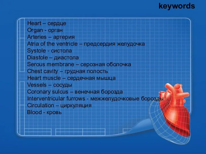 keywords Heart – сердце Organ - орган Arteries – артерия Atria of