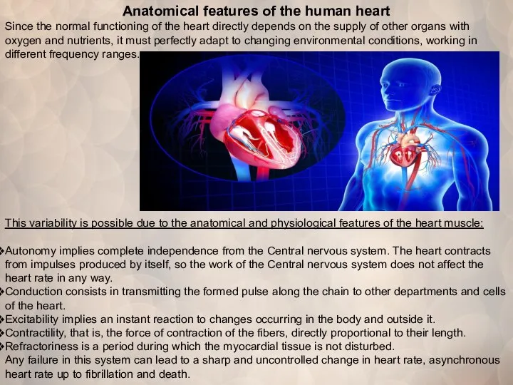 Anatomical features of the human heart Since the normal functioning of the