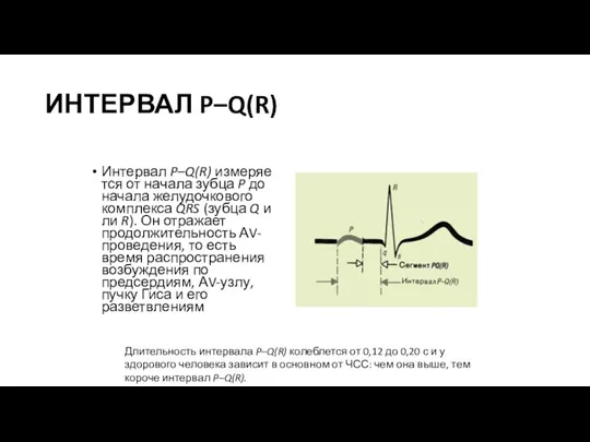 ИНТЕРВАЛ P–Q(R) Интервал P–Q(R) измеряется от начала зубца P до начала желудочкового