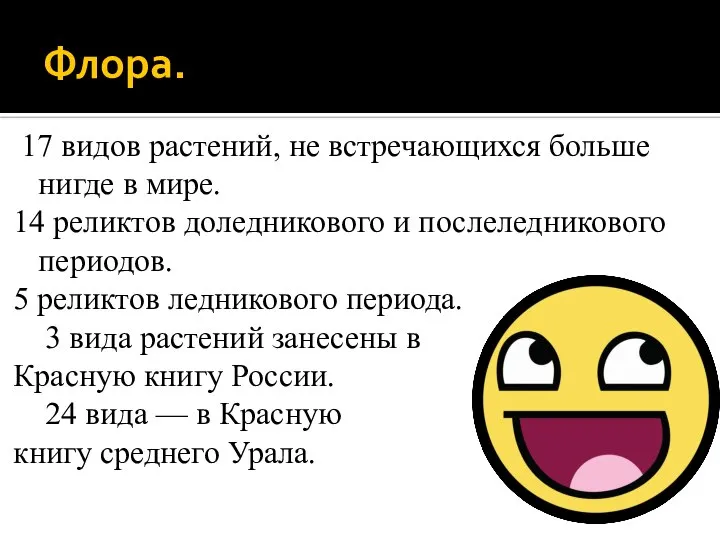 Флора. 17 видов растений, не встречающихся больше нигде в мире. 14 реликтов