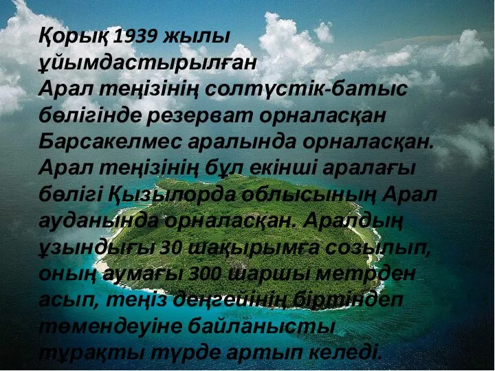 Қорық 1939 жылы ұйымдастырылған Арал теңізінің солтүстік-батыс бөлігінде резерват орналасқан Барсакелмес аралында