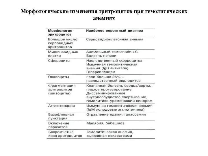 Морфологические изменения эритроцитов при гемолитических анемиях