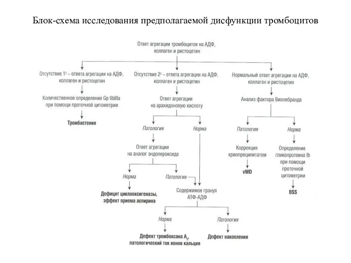 Блок-схема исследования предполагаемой дисфункции тромбоцитов