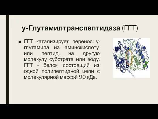 у-Глутамилтранспептидаза (ГГТ) ГГТ катализирует перенос у-глутамила на аминокислоту или пептид, на другую