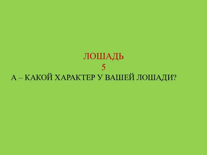 ЛОШАДЬ 5 А – КАКОЙ ХАРАКТЕР У ВАШЕЙ ЛОШАДИ?