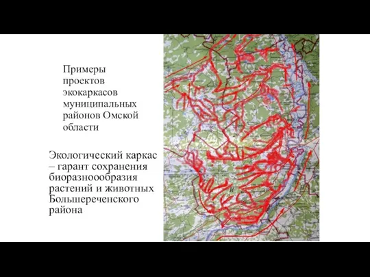 Примеры проектов экокаркасов муниципальных районов Омской области Экологический каркас – гарант сохранения