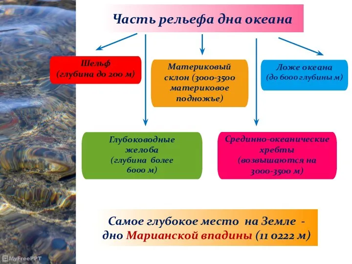 Часть рельефа дна океана Шельф (глубина до 200 м) Материковый склон (3000-3500