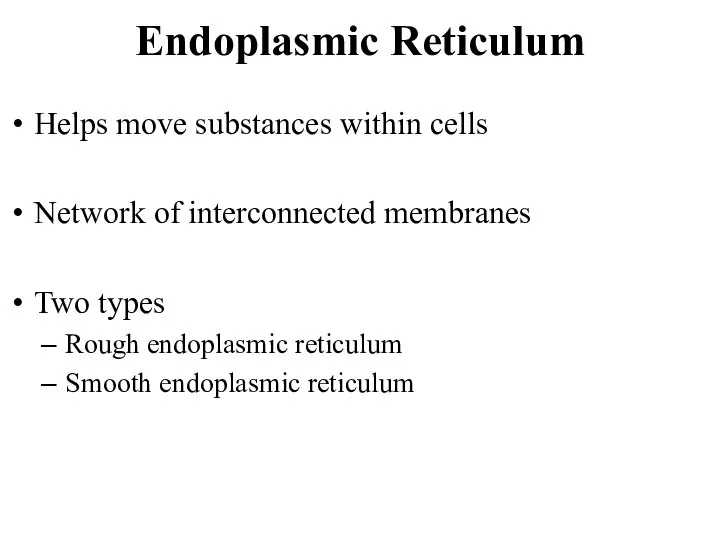 Endoplasmic Reticulum Helps move substances within cells Network of interconnected membranes Two