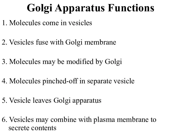 Golgi Apparatus Functions 1. Molecules come in vesicles 2. Vesicles fuse with