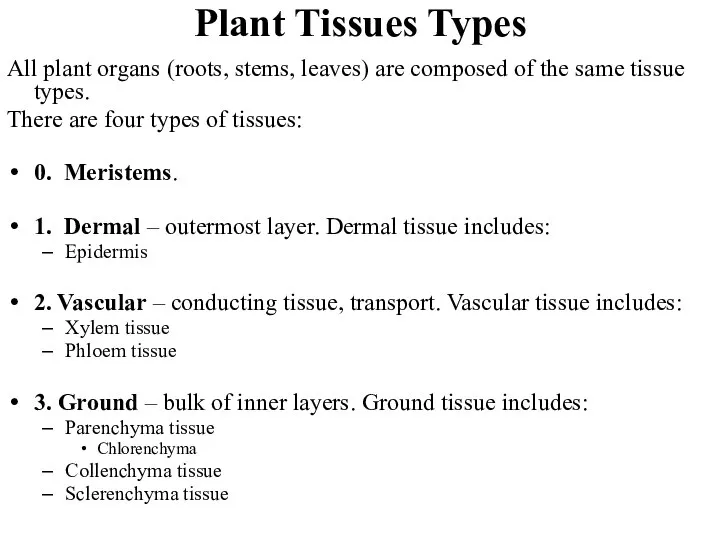 Plant Tissues Types All plant organs (roots, stems, leaves) are composed of