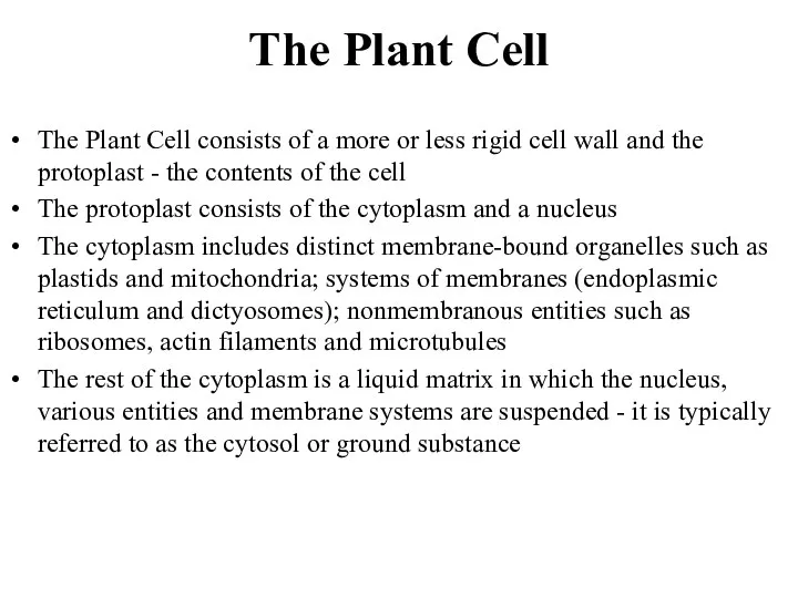 The Plant Cell The Plant Cell consists of a more or less