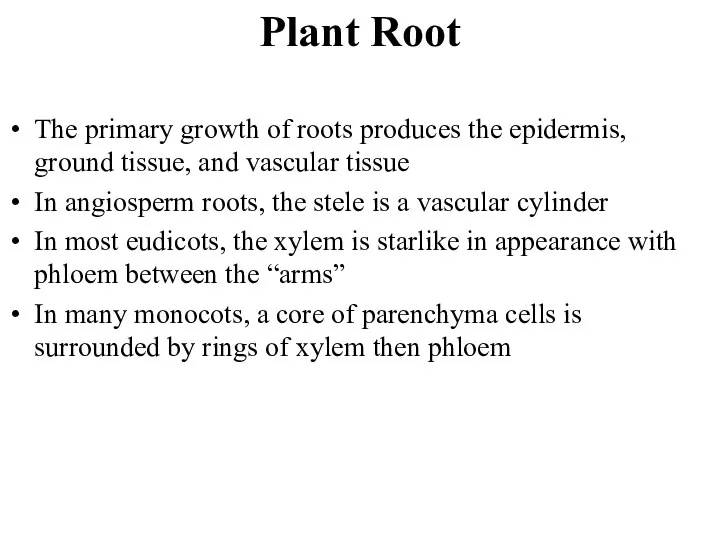 The primary growth of roots produces the epidermis, ground tissue, and vascular