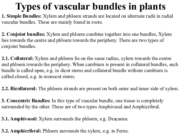 Types of vascular bundles in plants 1. Simple Bundles: Xylem and phloem