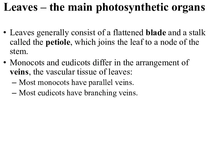 Leaves – the main photosynthetic organs Leaves generally consist of a flattened