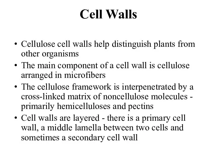 Cell Walls Cellulose cell walls help distinguish plants from other organisms The