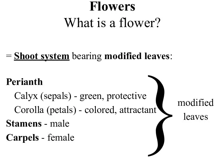 Flowers What is a flower? = Shoot system bearing modified leaves: Perianth