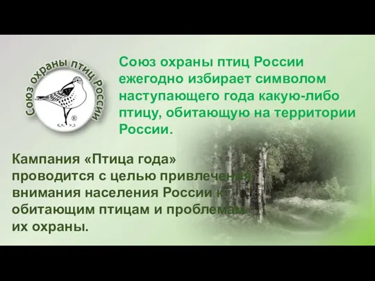 Союз охраны птиц России ежегодно избирает символом наступающего года какую-либо птицу, обитающую