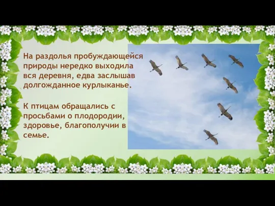 На раздолья пробуждающейся природы нередко выходила вся деревня, едва заслышав долгожданное курлыканье.