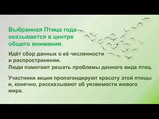 Участники акции пропагандируют красоту этой птицы и, конечно, рассказывают об уязвимости живого