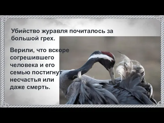 Убийство журавля почиталось за большой грех. Верили, что вскоре согрешившего человека и